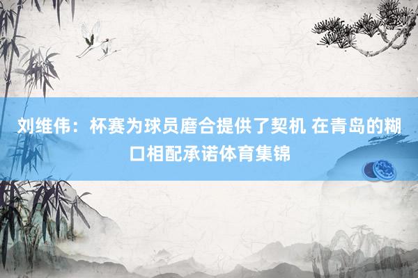 刘维伟：杯赛为球员磨合提供了契机 在青岛的糊口相配承诺体育集锦