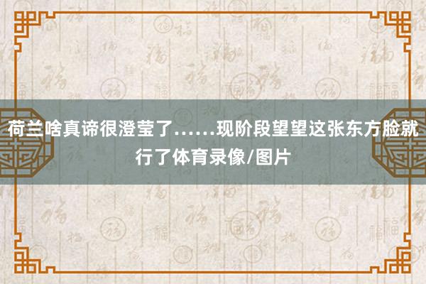 荷兰啥真谛很澄莹了……现阶段望望这张东方脸就行了体育录像/图片