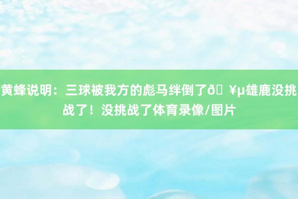 黄蜂说明：三球被我方的彪马绊倒了🥵雄鹿没挑战了！没挑战了体育录像/图片