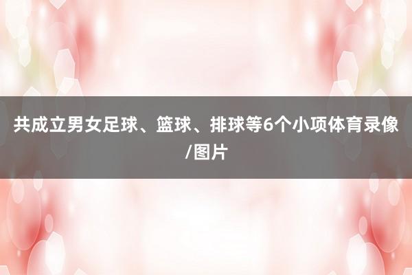 共成立男女足球、篮球、排球等6个小项体育录像/图片