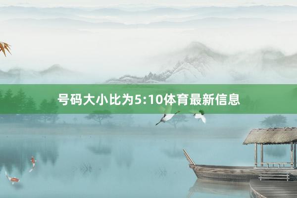 号码大小比为5:10体育最新信息