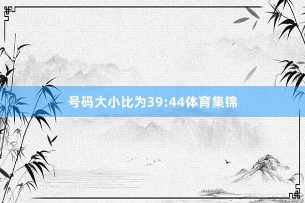 号码大小比为39:44体育集锦