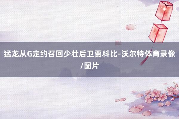 猛龙从G定约召回少壮后卫贾科比-沃尔特体育录像/图片