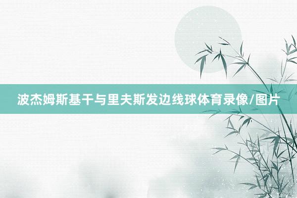 波杰姆斯基干与里夫斯发边线球体育录像/图片