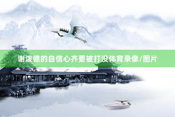 谢泼德的自信心齐要被打没体育录像/图片