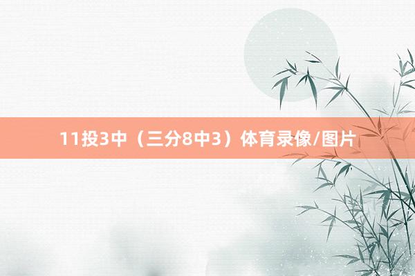 11投3中（三分8中3）体育录像/图片