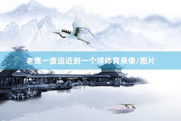 老鹰一度迫近到一个球体育录像/图片