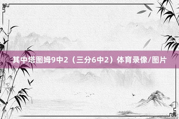 其中塔图姆9中2（三分6中2）体育录像/图片