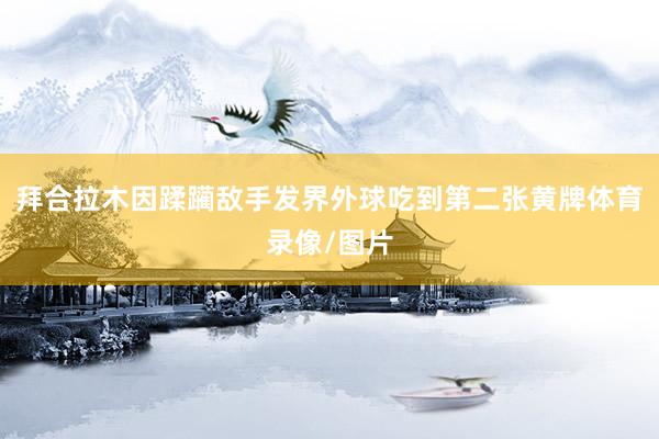 拜合拉木因蹂躏敌手发界外球吃到第二张黄牌体育录像/图片