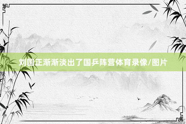 刘国正渐渐淡出了国乒阵营体育录像/图片