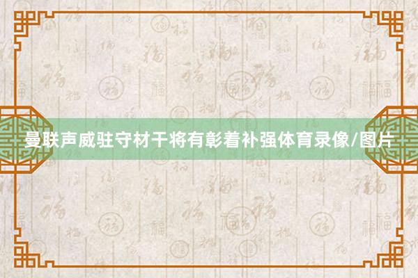 曼联声威驻守材干将有彰着补强体育录像/图片