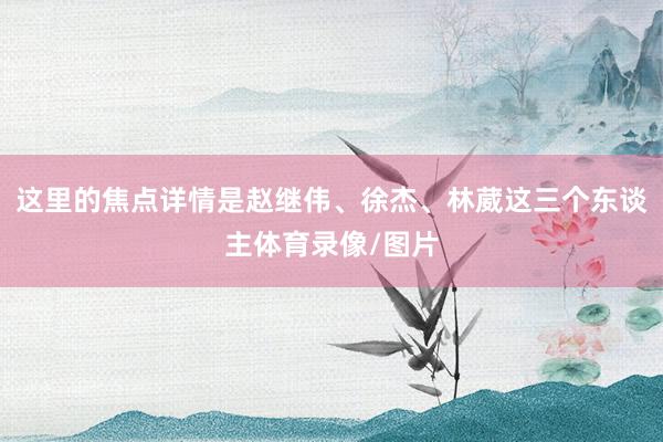 这里的焦点详情是赵继伟、徐杰、林葳这三个东谈主体育录像/图片