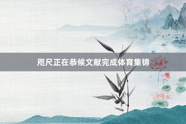 咫尺正在恭候文献完成体育集锦