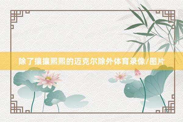 除了攘攘熙熙的迈克尔除外体育录像/图片
