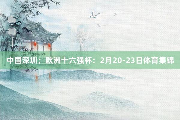 中国深圳；欧洲十六强杯：2月20-23日体育集锦