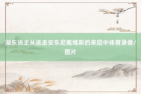湖东谈主从送走安东尼戴维斯的来回中体育录像/图片