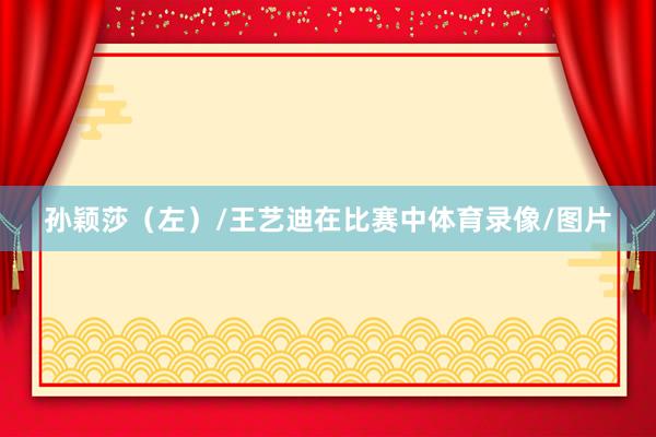孙颖莎（左）/王艺迪在比赛中体育录像/图片