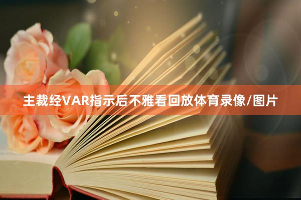 主裁经VAR指示后不雅看回放体育录像/图片