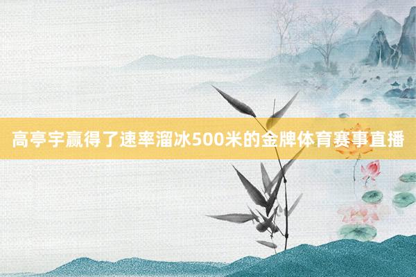 高亭宇赢得了速率溜冰500米的金牌体育赛事直播