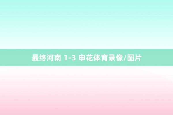 最终河南 1-3 申花体育录像/图片