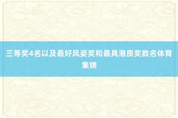 三等奖4名以及最好风姿奖和最具潜质奖数名体育集锦