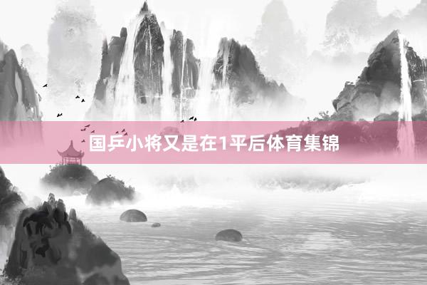 国乒小将又是在1平后体育集锦