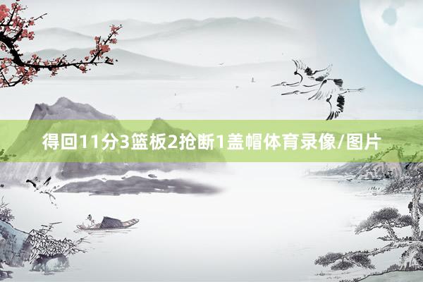 得回11分3篮板2抢断1盖帽体育录像/图片