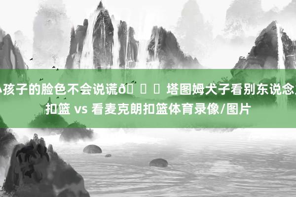 小孩子的脸色不会说谎👀塔图姆犬子看别东说念主扣篮 vs 看麦克朗扣篮体育录像/图片